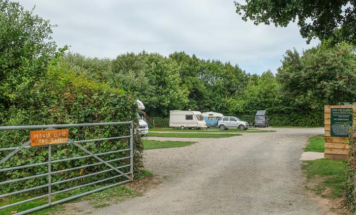 Orchard Camping Field